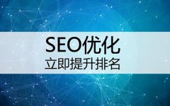 SEO网站优化的基础知识-WFIP.NET